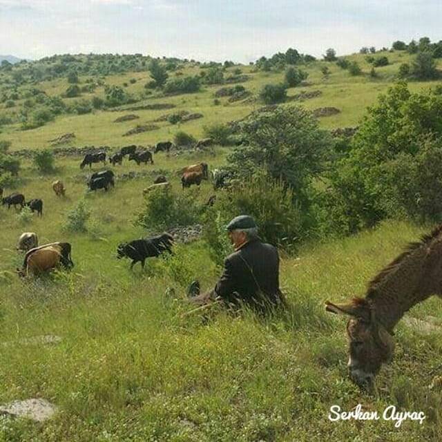 Kızılcahamam Otacı Köyü Resimleri 6