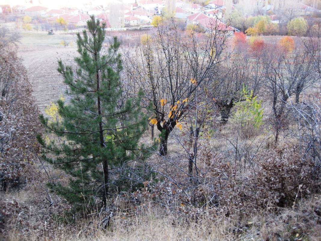 Kızılcahamam Pazar Başören Köyü Resimleri 2