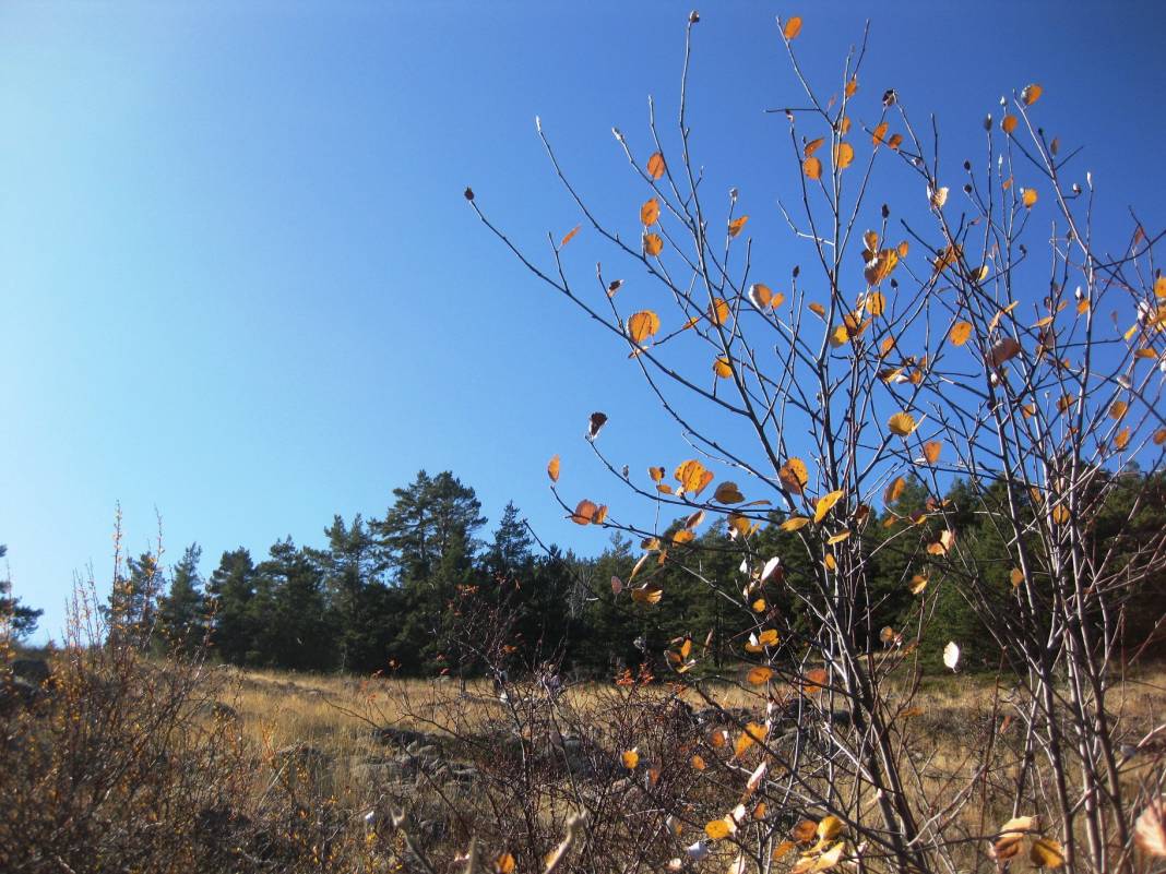 Kızılcahamam Pazar Başören Köyü Resimleri 4
