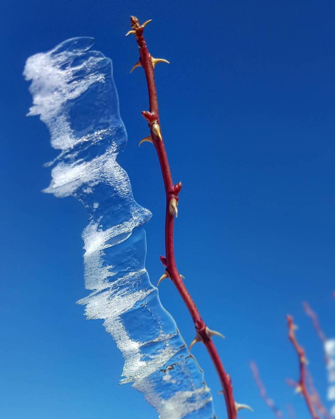 Kızılcahamam Salın Köyü Resimleri 6