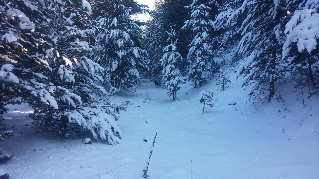 Kızılcahamam Semer Köyü Resimleri 3