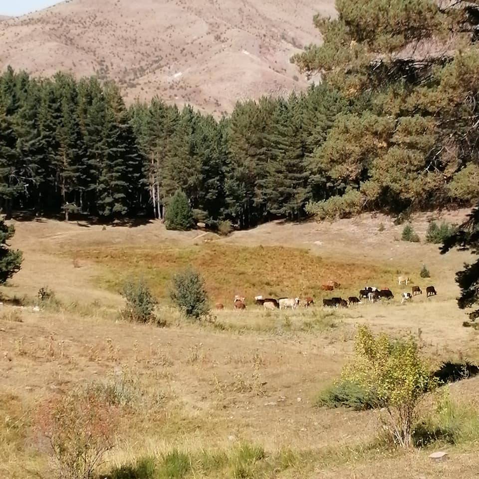 Kızılcahamam Semer Köyü Resimleri 6