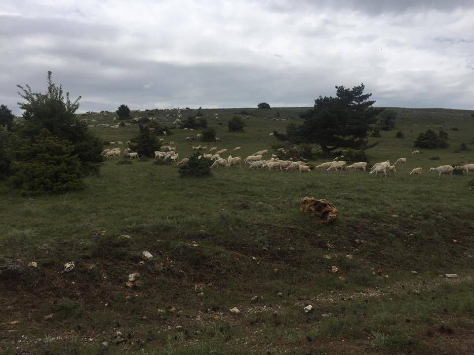 Kızılcahamam Turnalı Köyü Resimleri 6