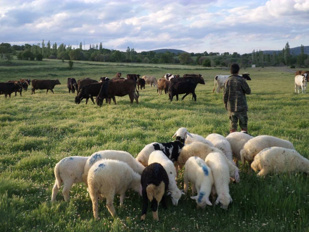Kızılcahamam Üçbaş Köyü Resimleri 1