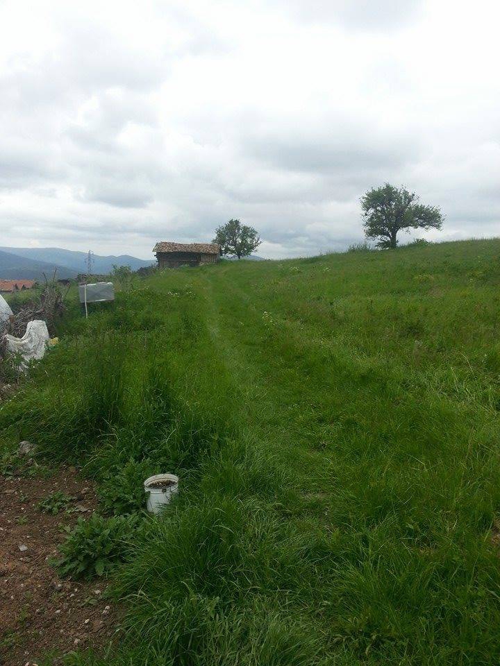 Ovacık Alınca Köyü Resimleri 6