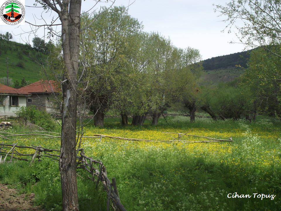 Kızılcahamam Yıldırımören Köyü Resimleri 1