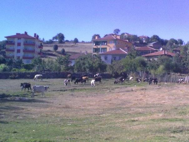 Kızılcahamam Yukarıçanlı Köyü Resimleri 2