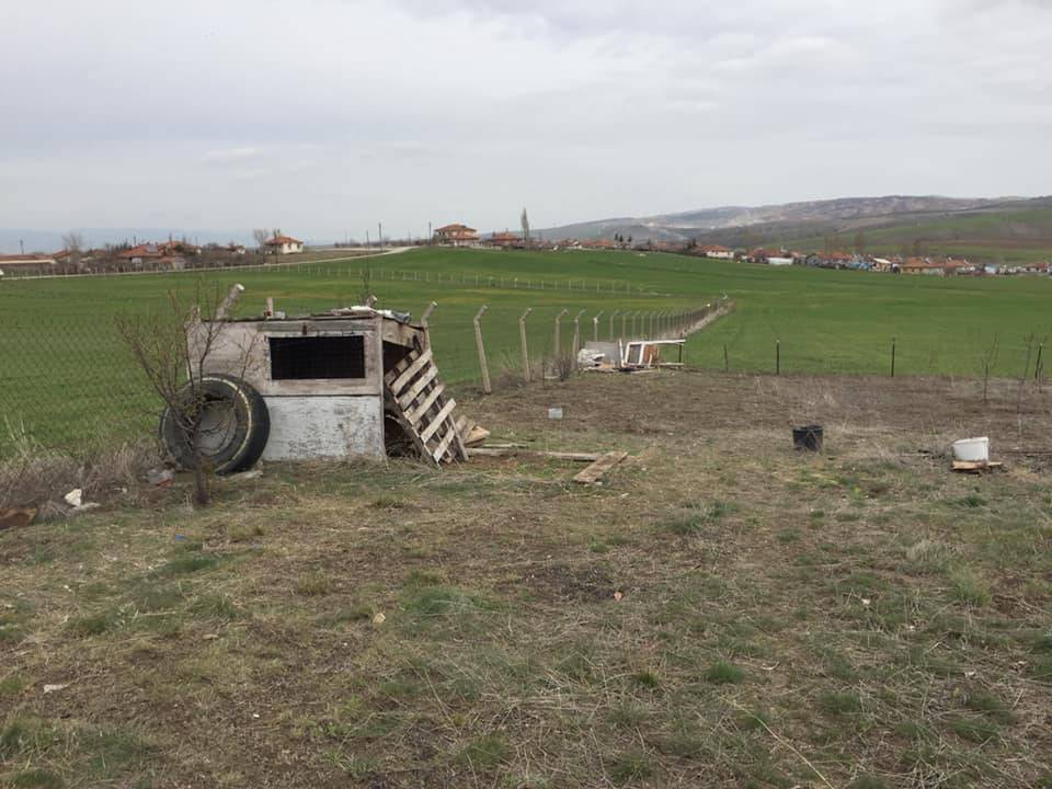 Mamak Kıbrıs Köyü Resimleri 1