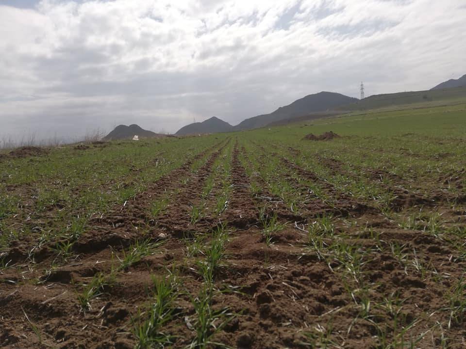 Mamak Kızılca Köyü Resimleri 1