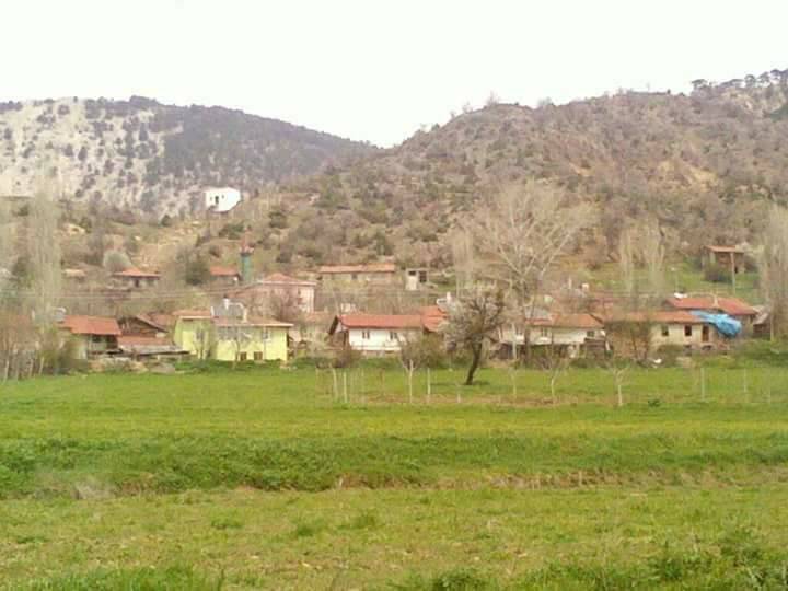 Nallıhan Aliefe Köyü Resimleri 2