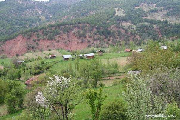 Nallıhan Alpağut Köyü Resimleri 4