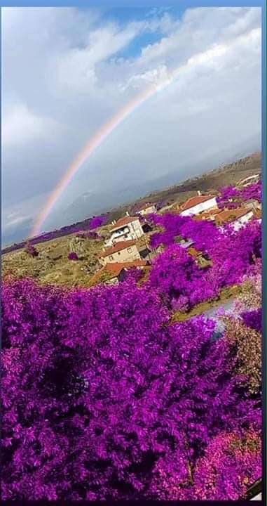 Nallıhan Aşağıbağdere Köyü Resimleri 5