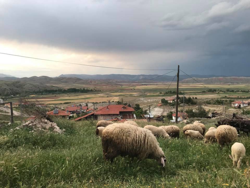 Nallıhan Ayman(hıdırlar) Resimleri 16