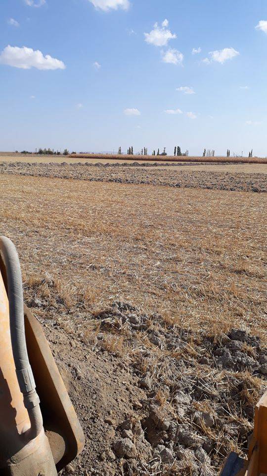 Konya Karapınar Sazlıpınar Köyü Resimleri 2