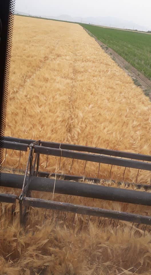 Konya Karapınar Sazlıpınar Köyü Resimleri 3