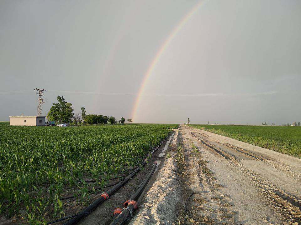 Konya Karapınar Sazlıpınar Köyü Resimleri 4