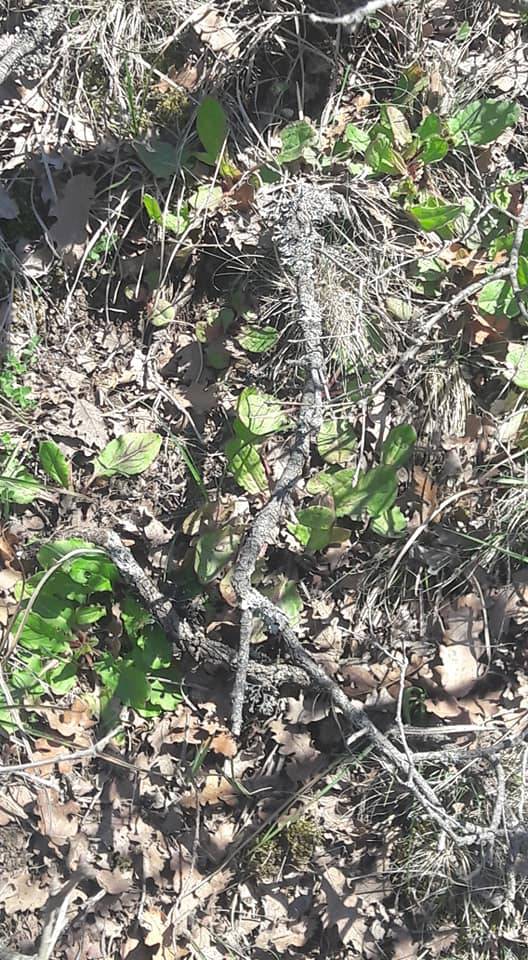 Nallıhan Belenalan Köyü Resimleri 4