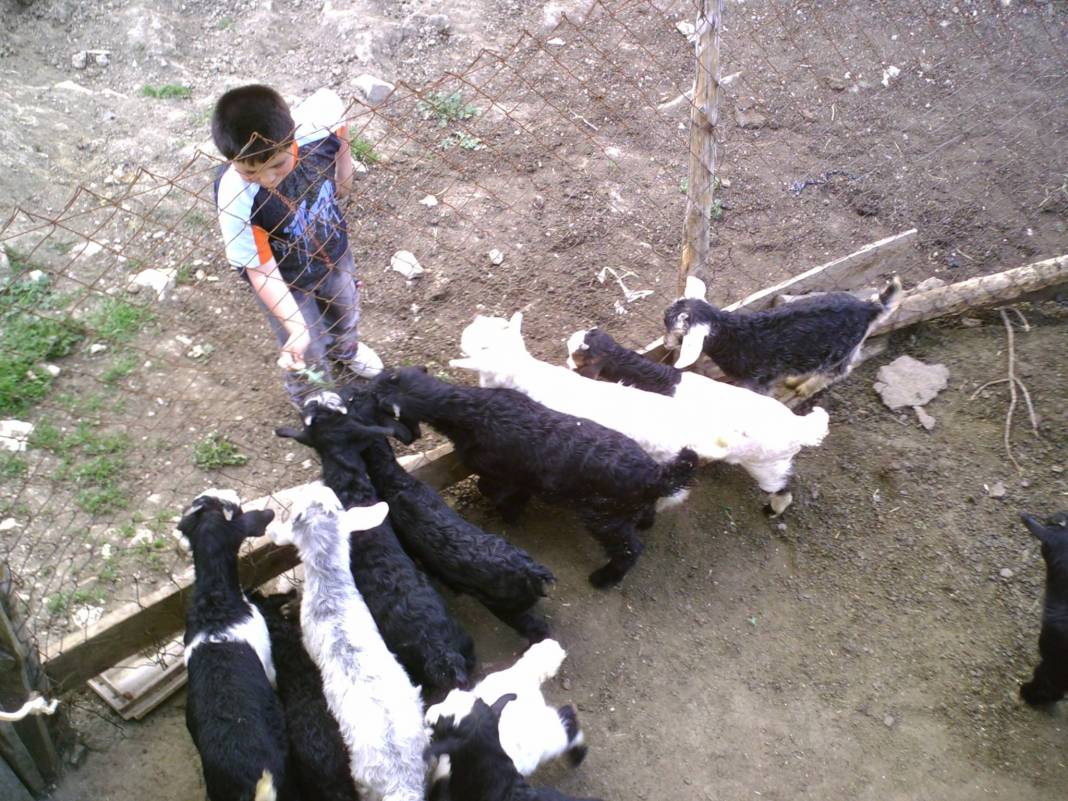 Nallıhan Belenalan Köyü Resimleri 6