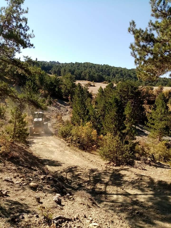 Nallıhan Belenören Köyü Resimleri 4