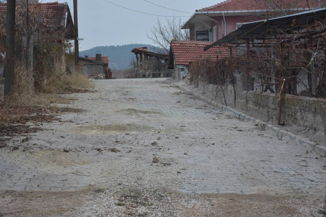 Nallıhan Belenören Köyü Resimleri 5