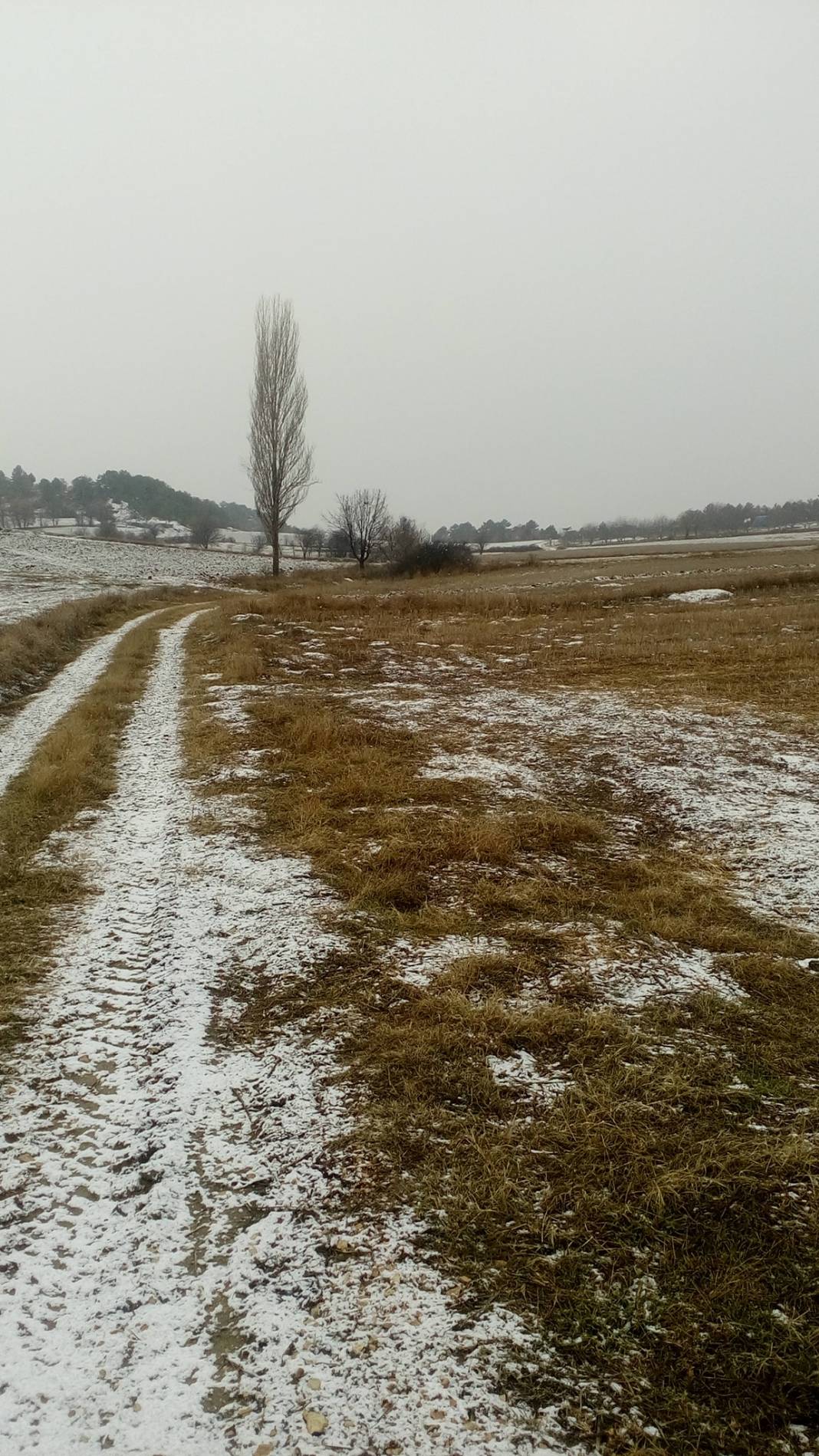 Nallıhan Belenören Köyü Resimleri 6