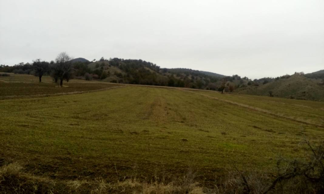 Nallıhan Belenören Köyü Resimleri 8