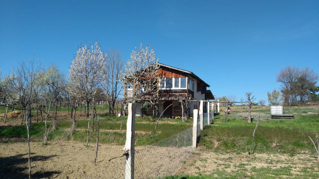 Nallıhan Beyalan Köyü Resimleri 5