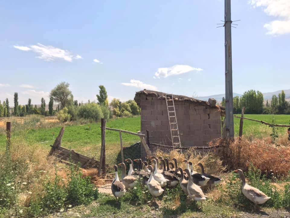 Karapınar Yağmapınar Köyü Resimleri 3