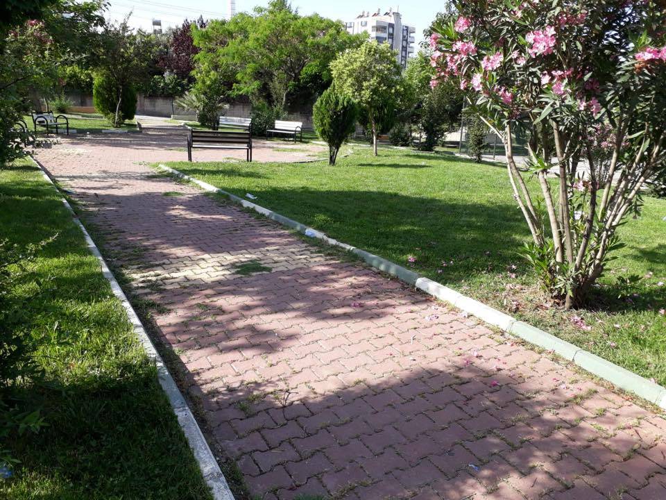 Karapınar Yeni Mahalle Köyü Resimleri 2