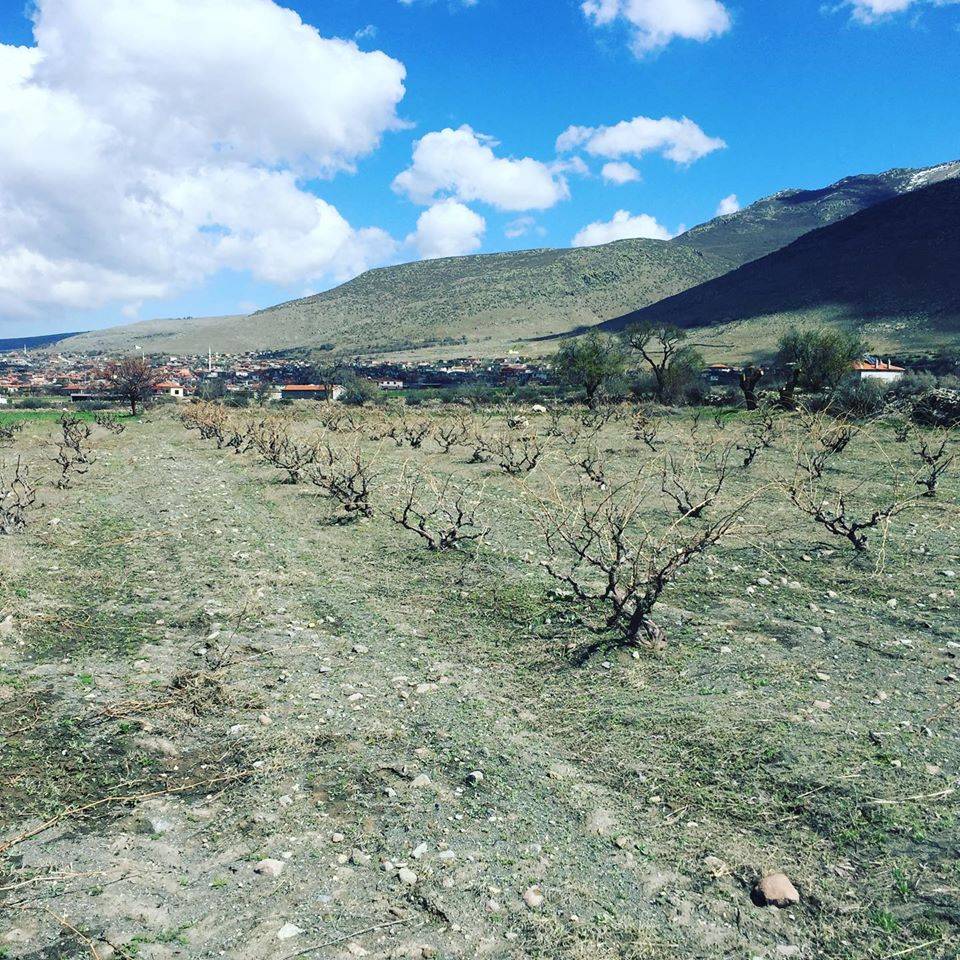 Karapınar Yeşilyurt Köyü Resimleri 2