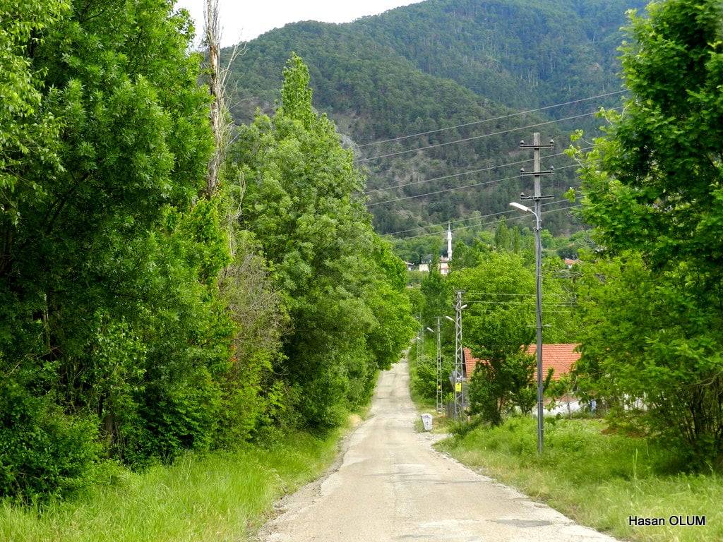 Nallıhan Beycik Köyü Resimleri 10