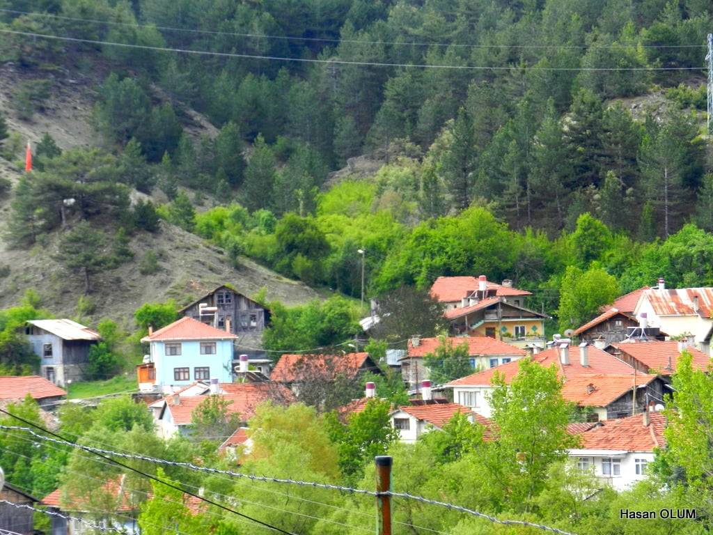 Nallıhan Beycik Köyü Resimleri 14