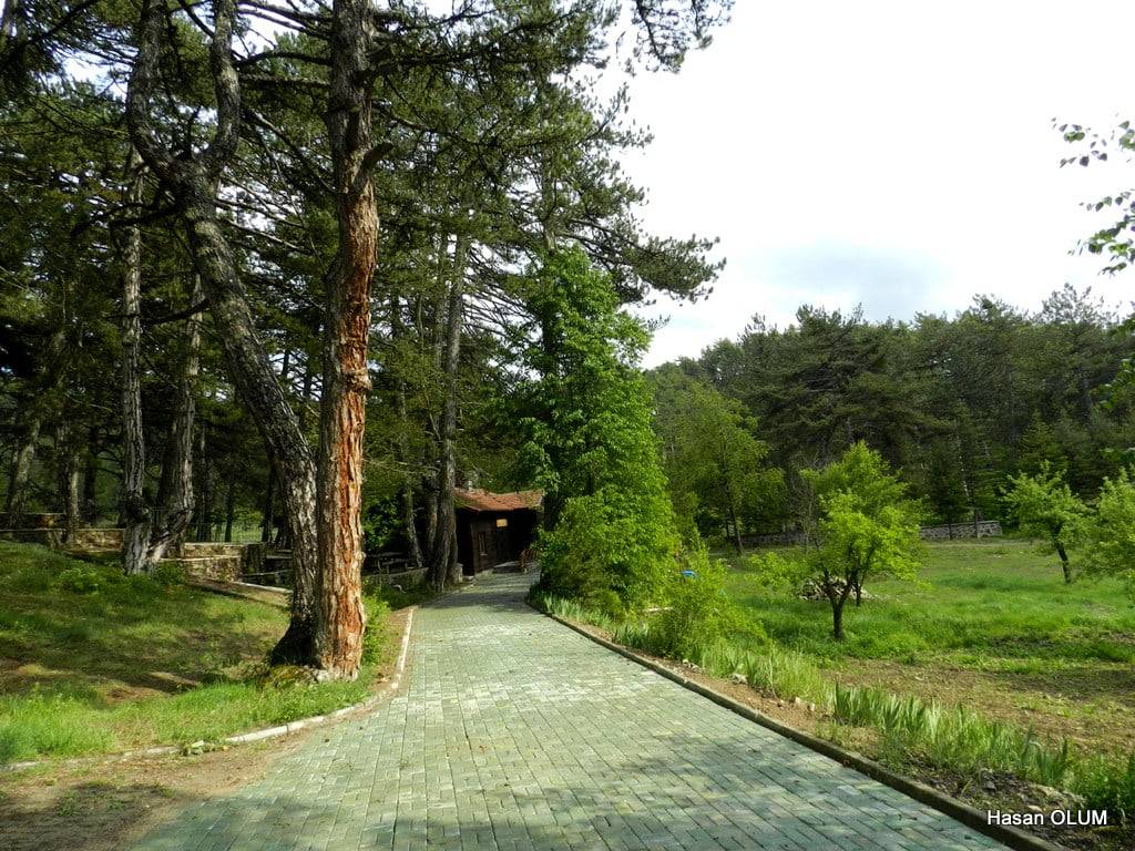 Nallıhan Beycik Köyü Resimleri 16