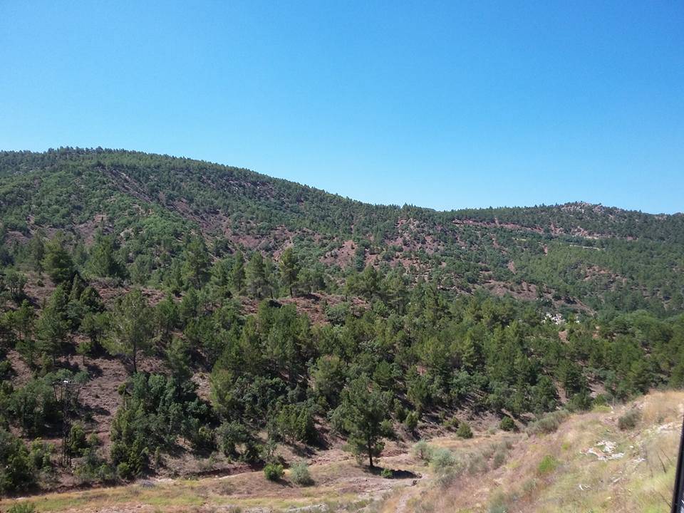 Nallıhan Bozyaka Köyü Resimleri 1