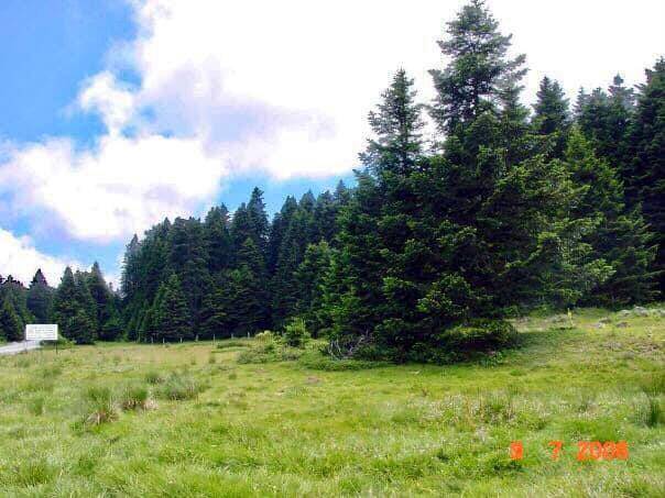 Nallıhan Bozyaka Köyü Resimleri 3