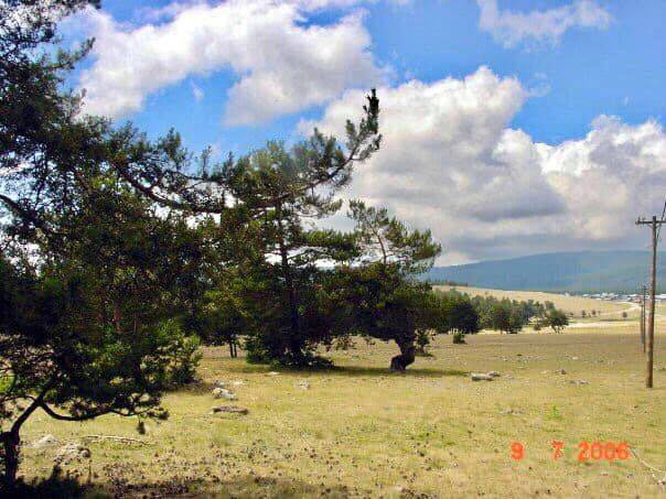 Nallıhan Bozyaka Köyü Resimleri 5
