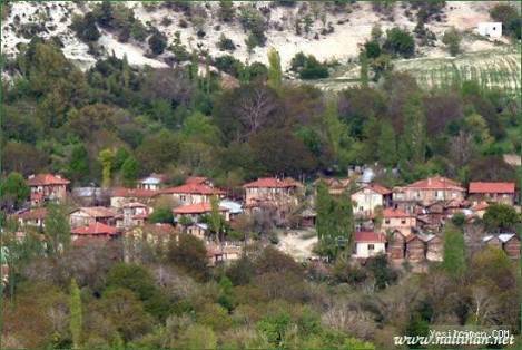 Nallıhan Cendere Köyü Resimleri 3