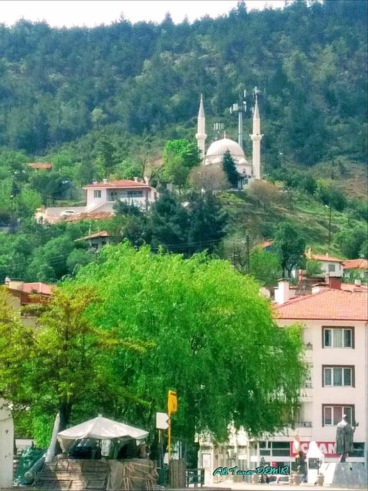 Nallıhan Çalıcaalan Köyü Resimleri 4