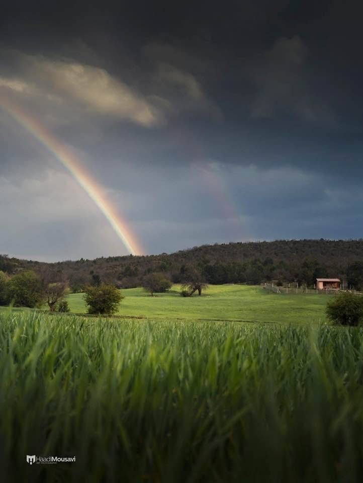 Nallıhan Çalıcaalan Köyü Resimleri 5