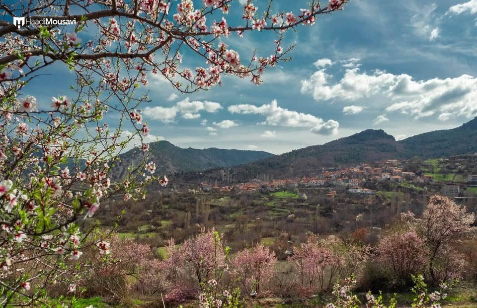 Nallıhan Çalıcaalan Köyü Resimleri 6