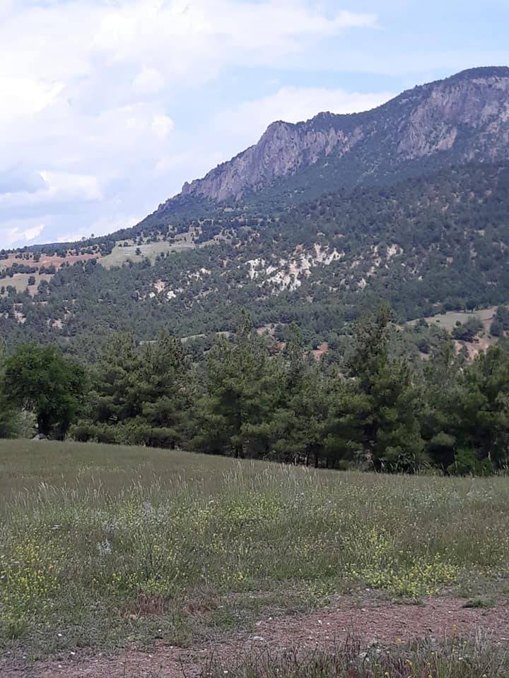 Nallıhan Çamalan Köyü Resimleri 7