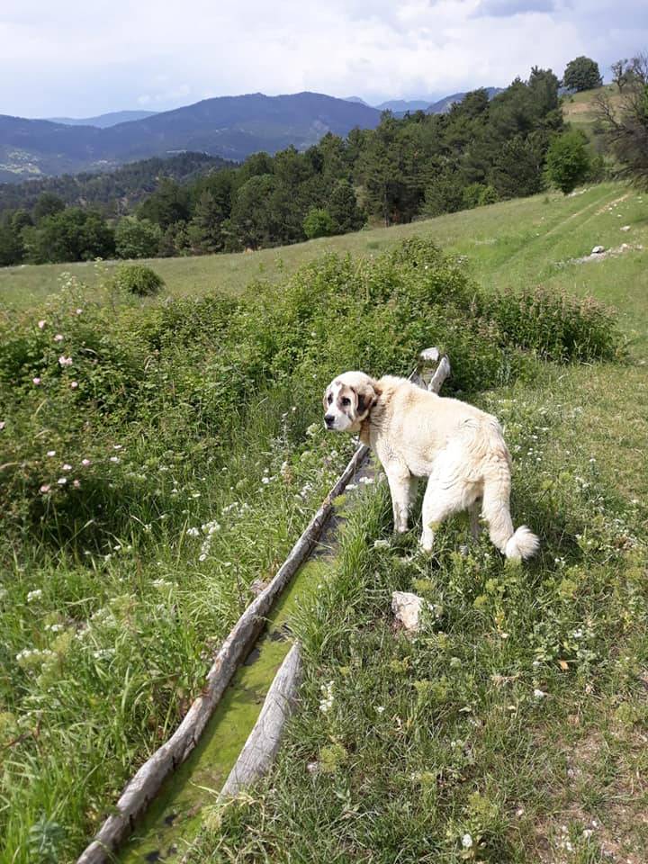 Nallıhan Çamalan Köyü Resimleri 8