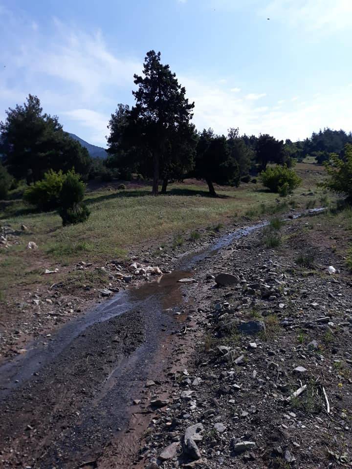 Nallıhan Çamalan Köyü Resimleri 9