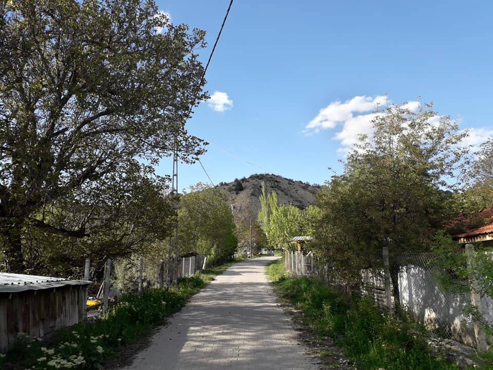 Nallıhan Çiller Köyü Resimleri 11