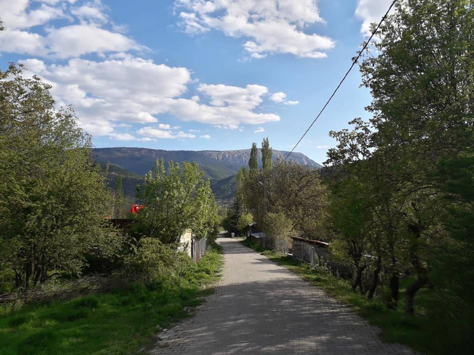 Nallıhan Çiller Köyü Resimleri 13