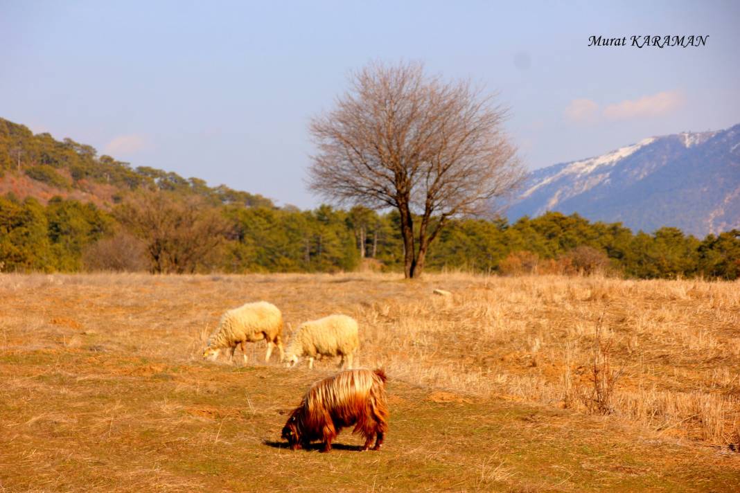 Nallıhan Çulhalar Köyü Resimleri 2