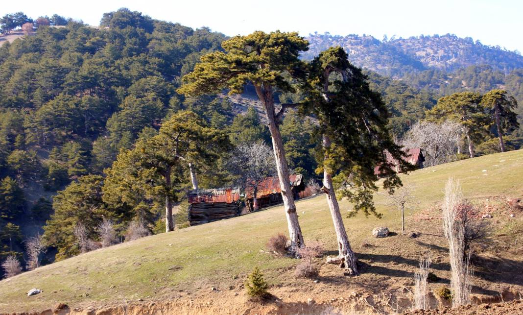 Nallıhan Çulhalar Köyü Resimleri 3