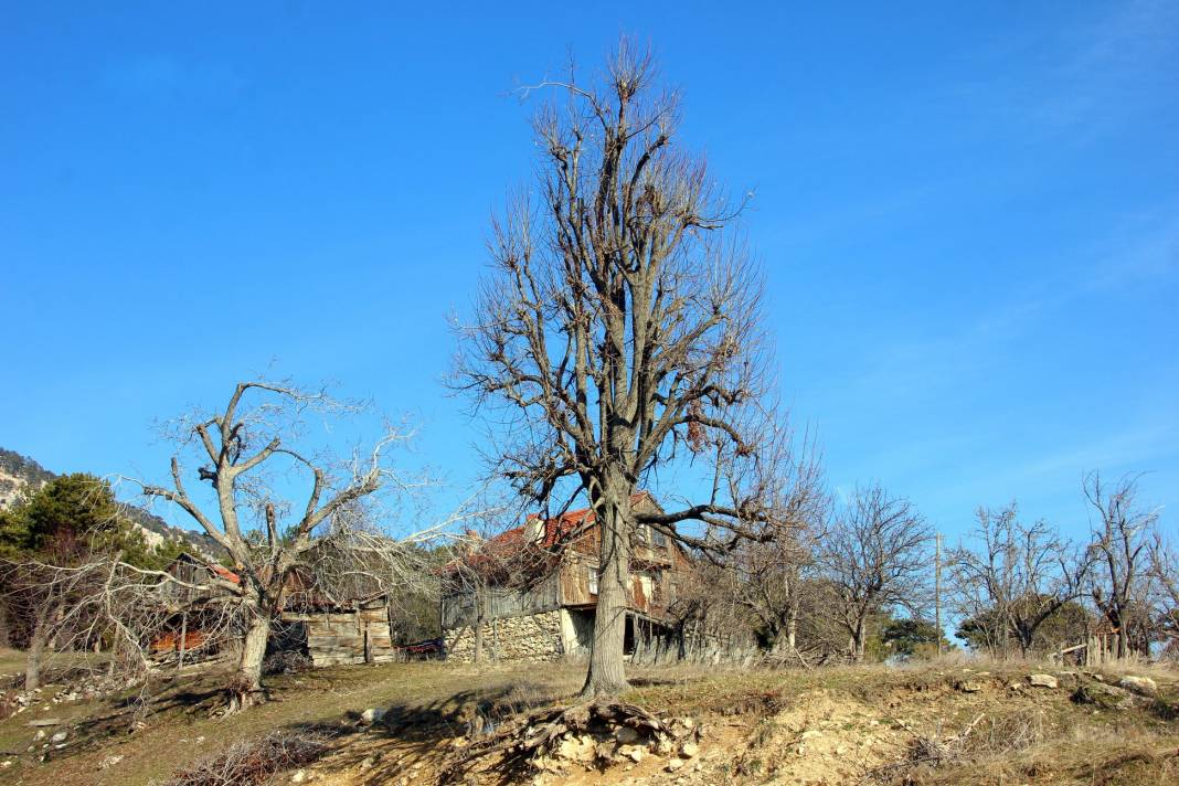 Nallıhan Çulhalar Köyü Resimleri 9