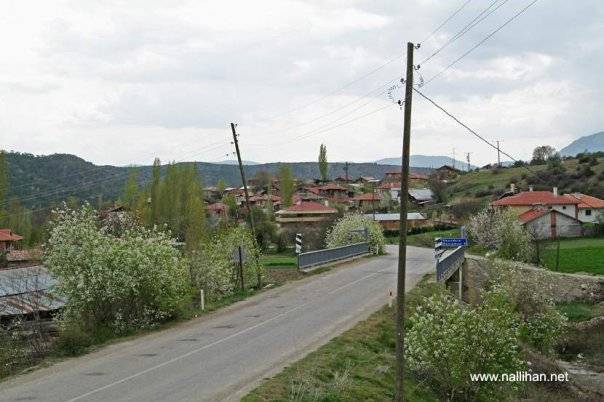 Nallıhan Danişment Köyü Resimleri 2