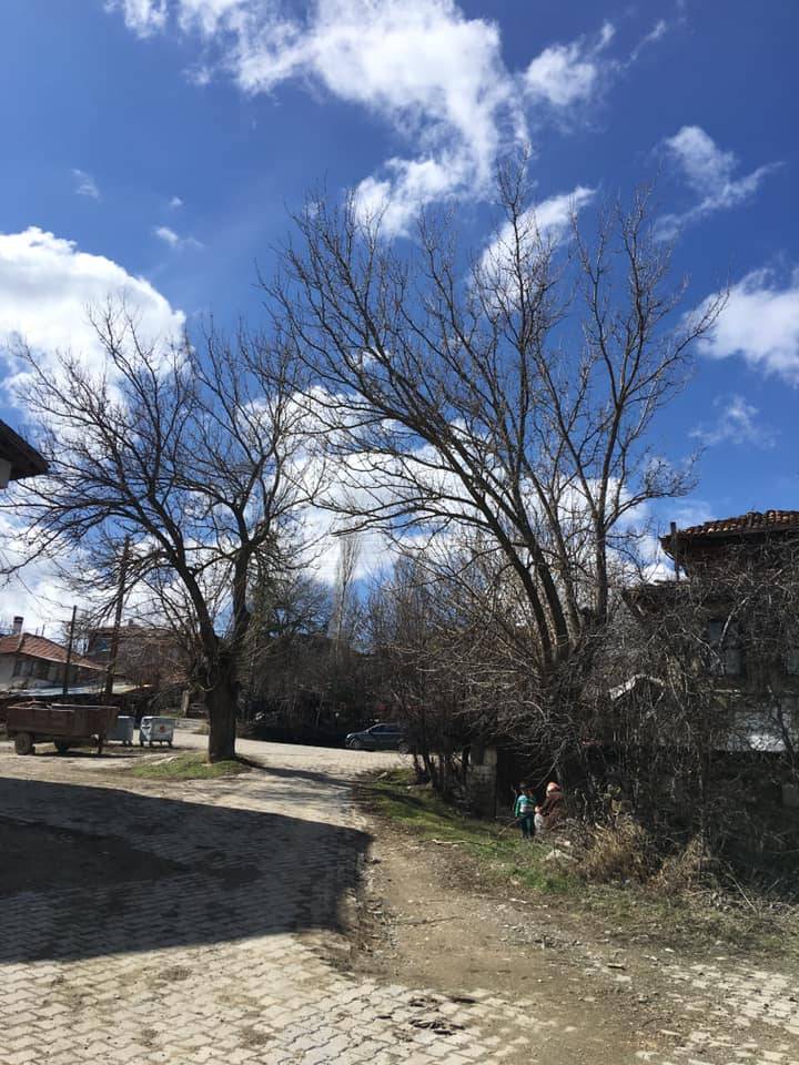 Nallıhan Danişment Köyü Resimleri 6